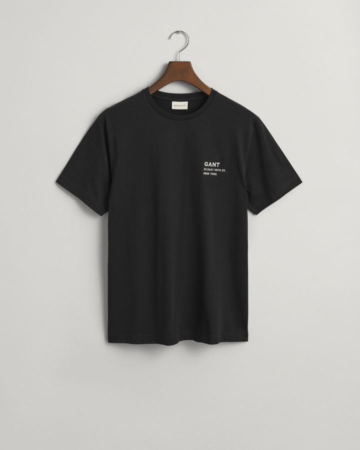Small GANT Graphic T-Shirt