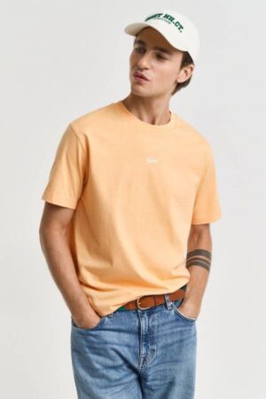 Small Graphic T-Shirt