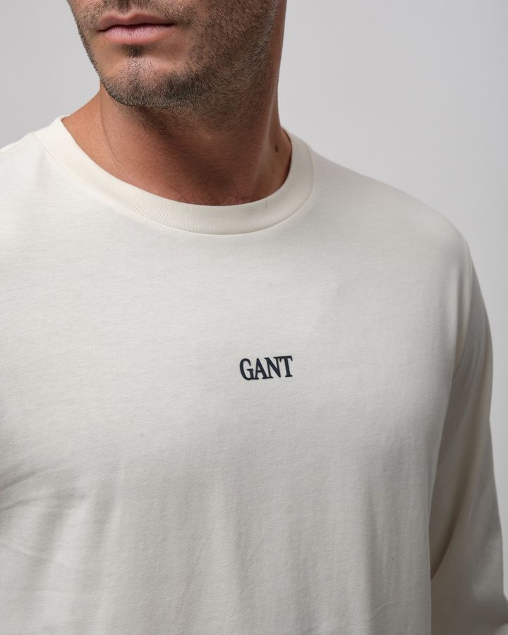 Small Graphic Long sleeve T-Shirt