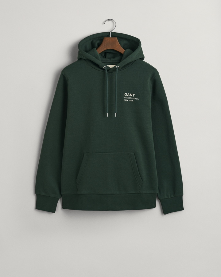 Small GANT Graphic Hoodie