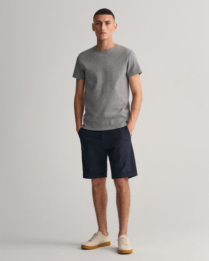 Allister Regular Fit Sunfaded Shorts