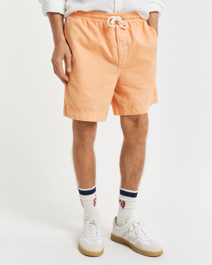 Regular Fit Sunfaded Drawstring Shorts