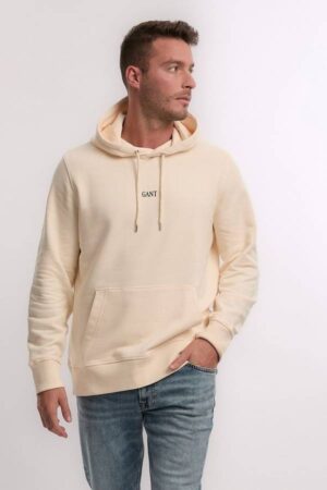 Small Graphic Hoodie