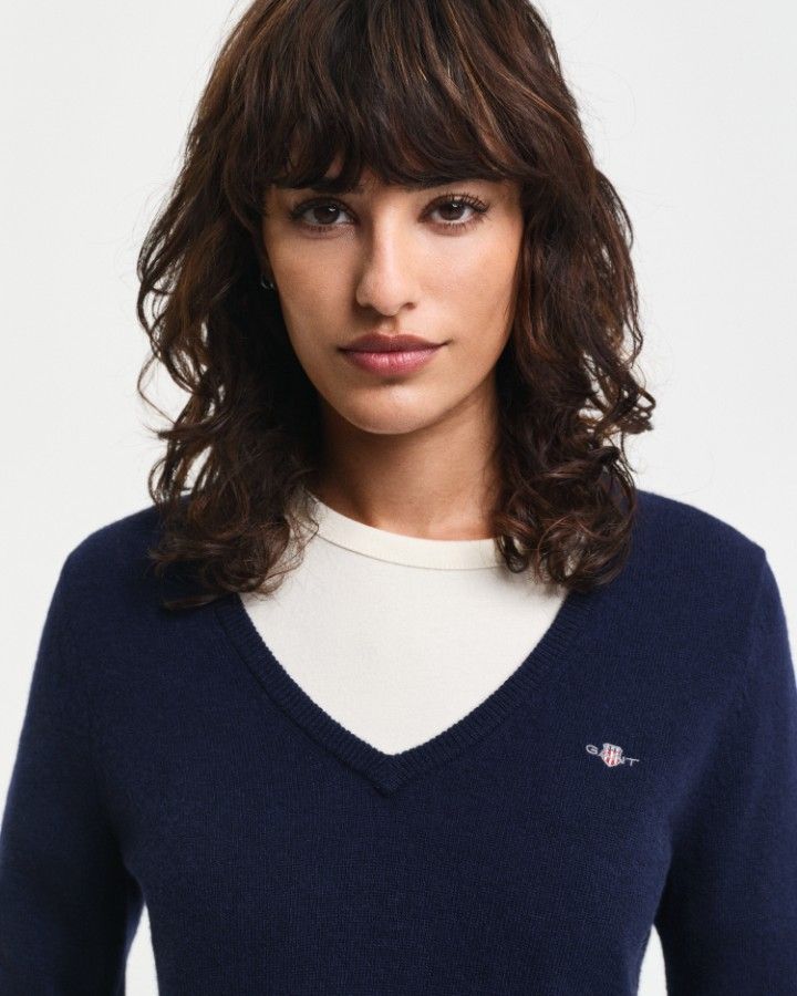 Extra Fine Lambswool V-Neck Sweater