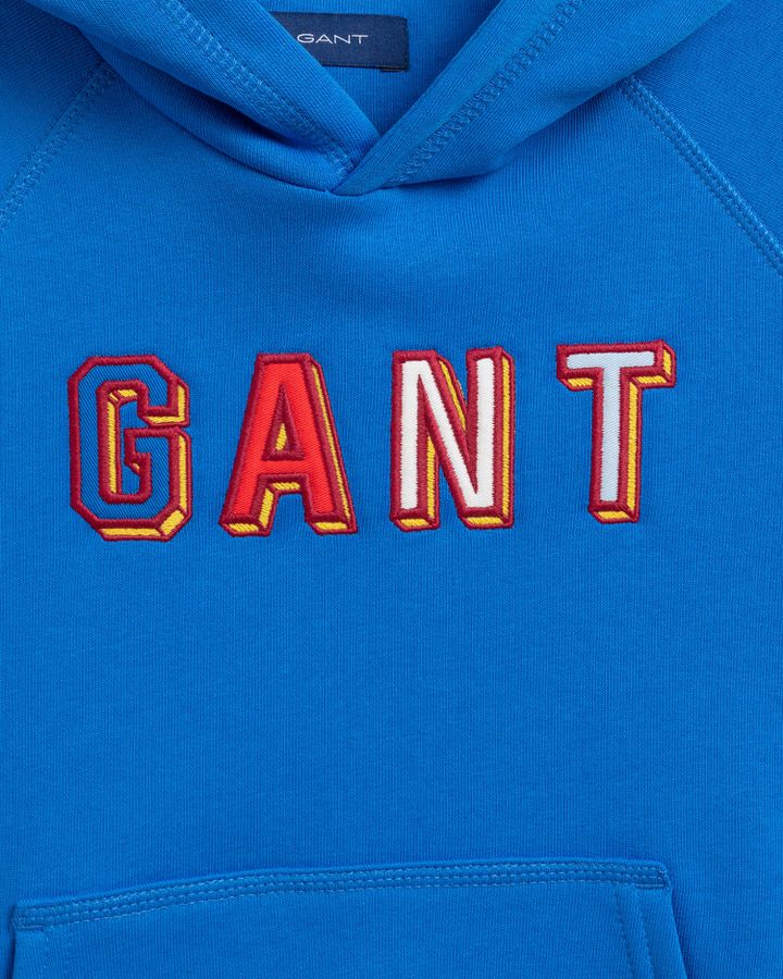 D1. 3D VARSITY HOODIE