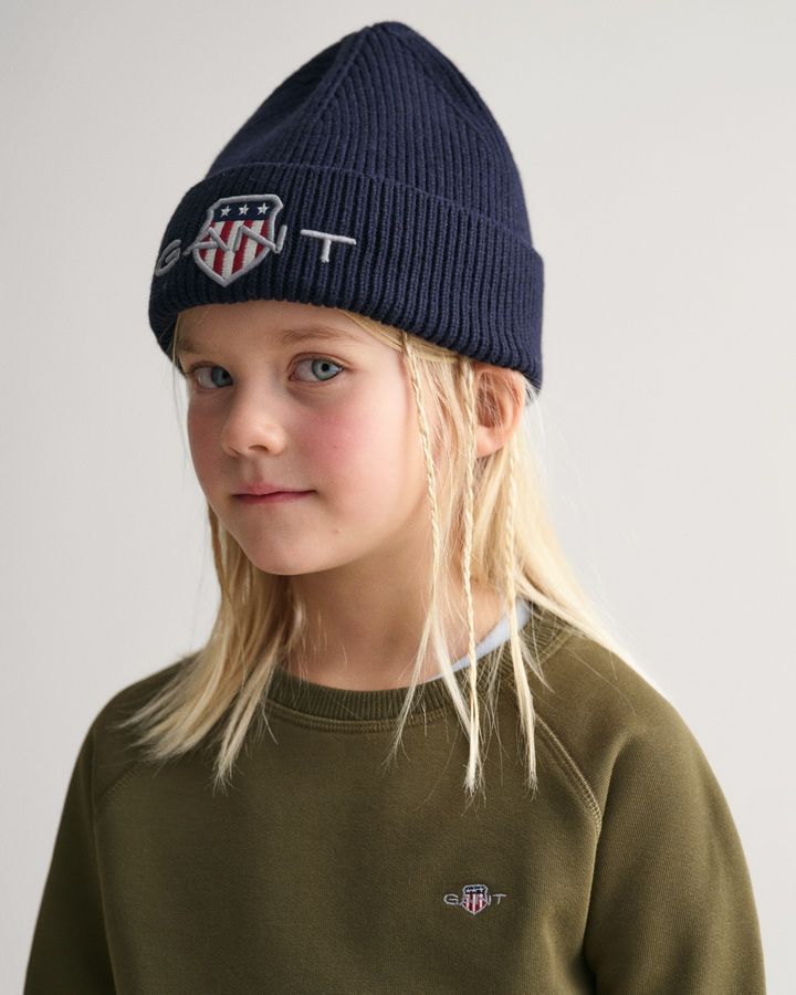 Archive shields beanie