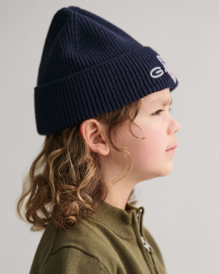 Archive shields beanie