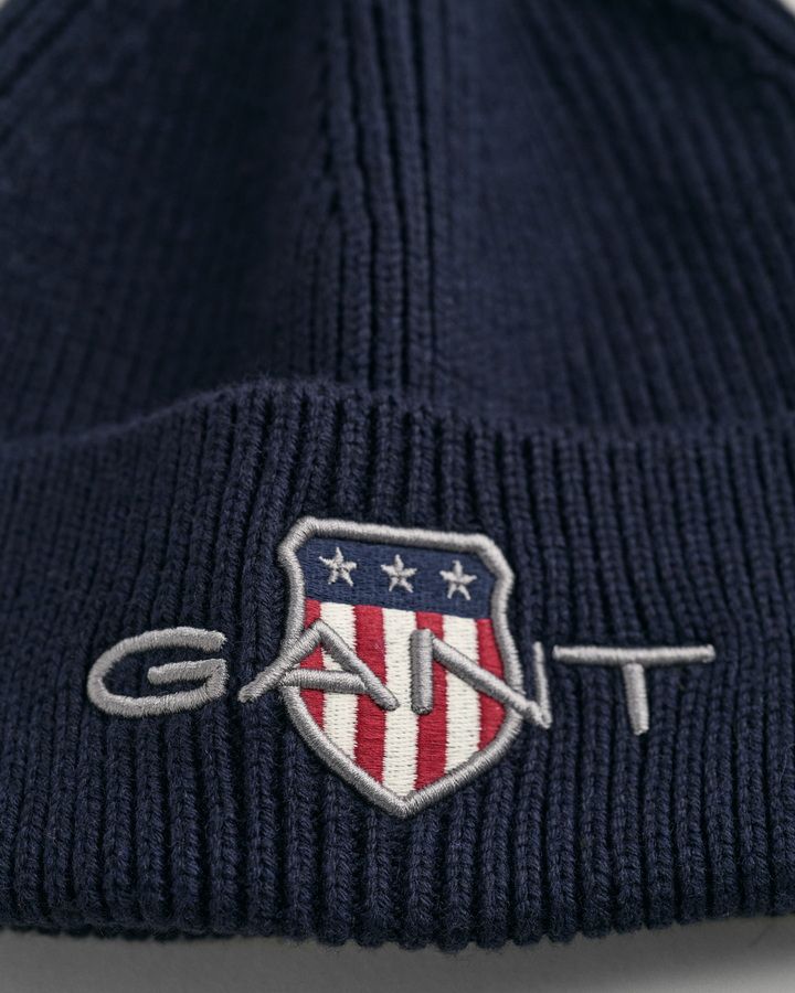 Archive shields beanie