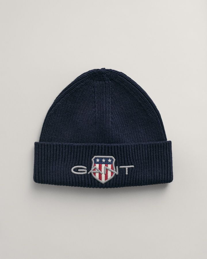 Archive shields beanie