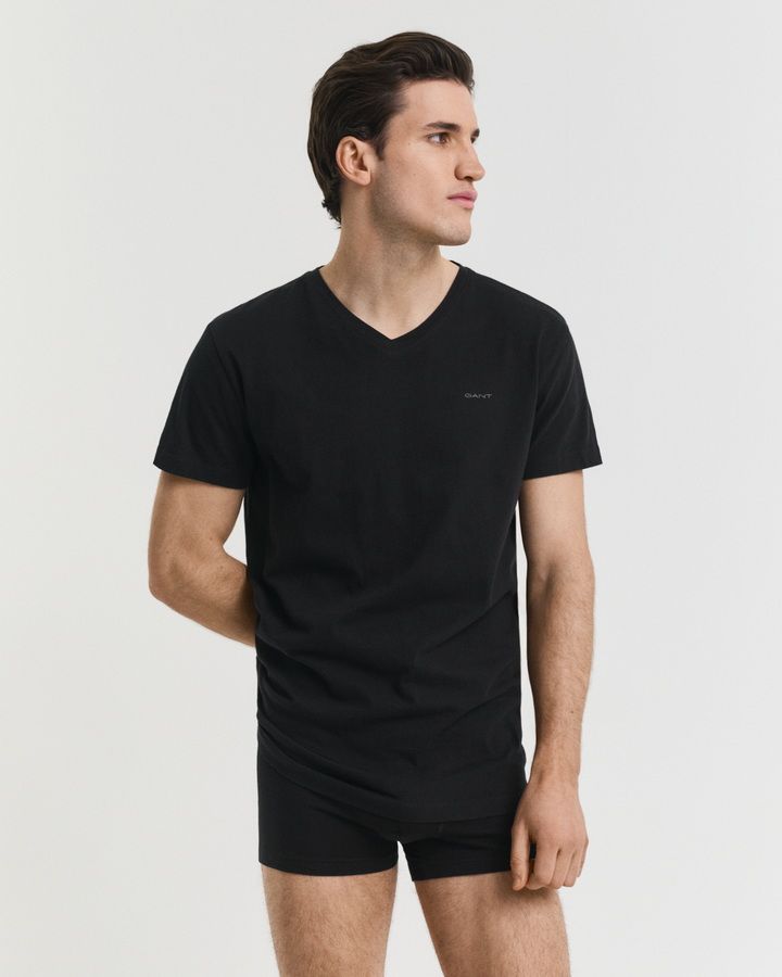 2-Pack V-Neck T-Shirts