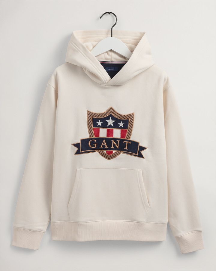 Teens Banner Shield Hoodie