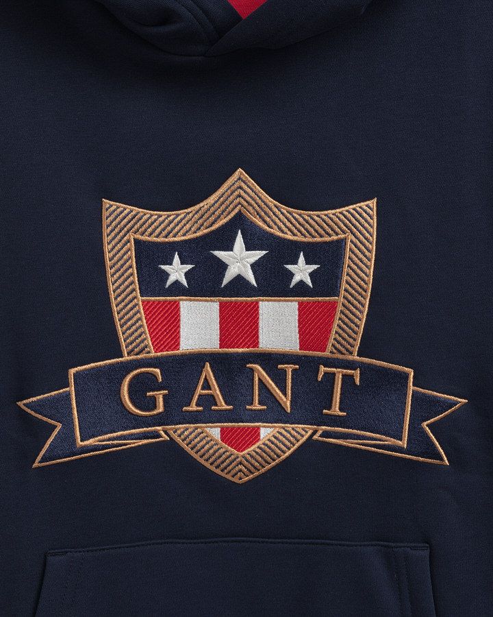 Teens Banner Shield Hoodie