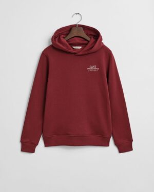 Teens Graphic Hoodie