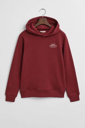 Teens Graphic Hoodie