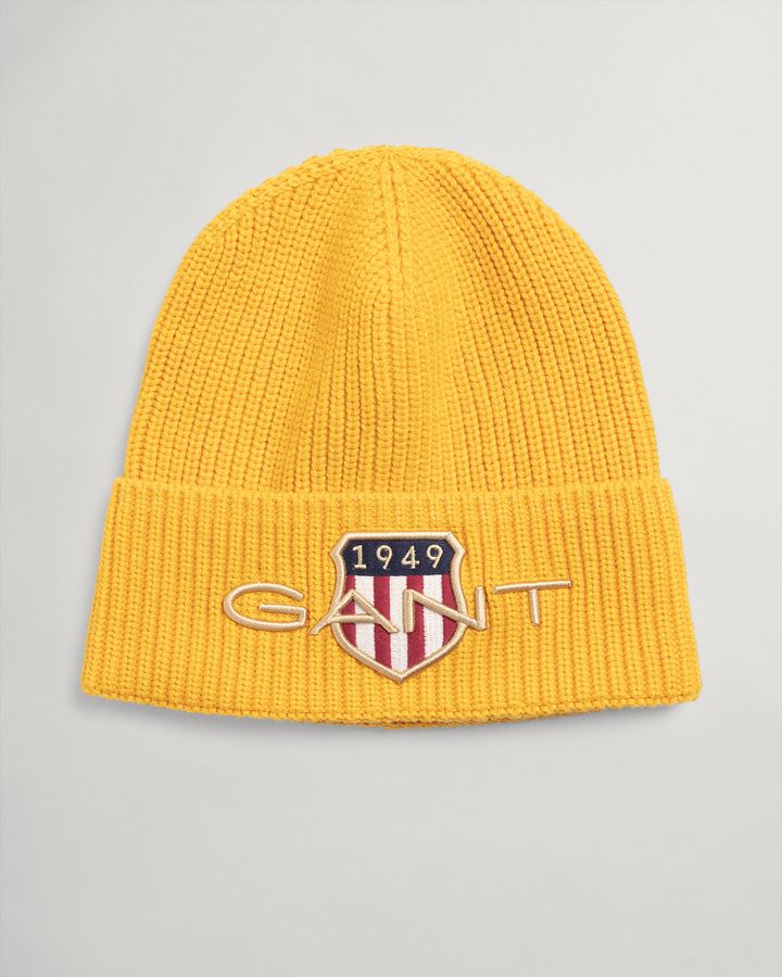 Teens Archive Shield Beanie